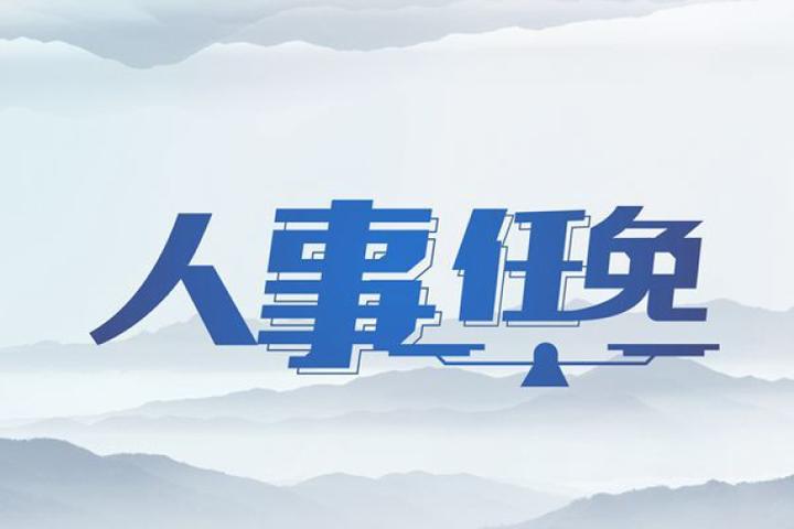 大型風電企業，董事離任